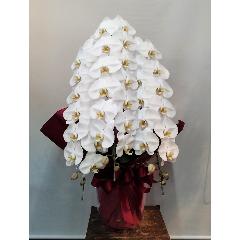 �Ӓ����i���j3�{�����@�R���~