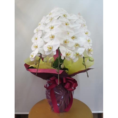 �Ӓ����i���j3�{�����@2���~