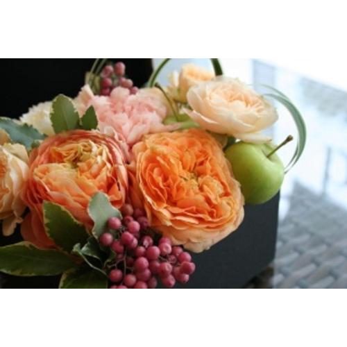 �r�^�~���{�b�N�X2