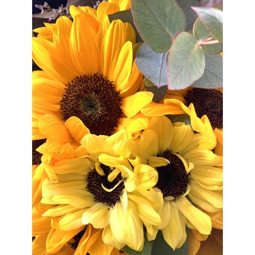 Father'sDay bouquet-Ԃɑ-2