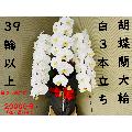 i摜