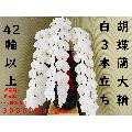 i摜