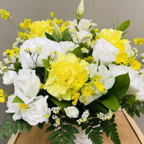 FnA߂̉؂₩Ȍ䋟AWg