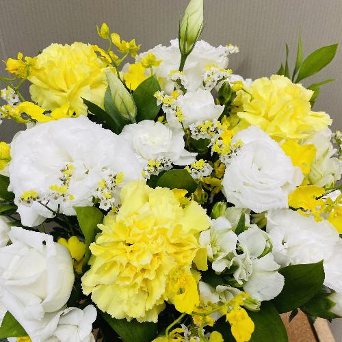 FnA߂̉؂₩Ȍ䋟AWg2