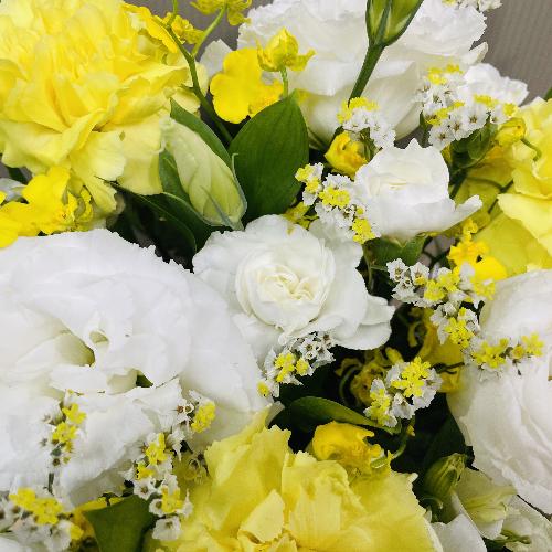 FnA߂̉؂₩Ȍ䋟AWg3