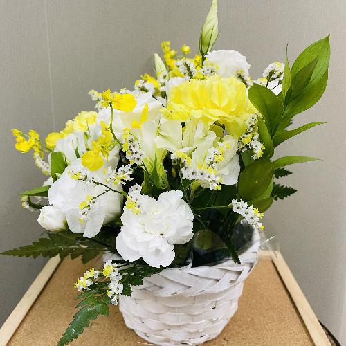 FnA߂̉؂₩Ȍ䋟AWg4