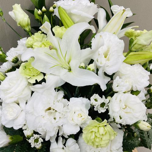 ǂȏ@hłvAオ肨AWg2