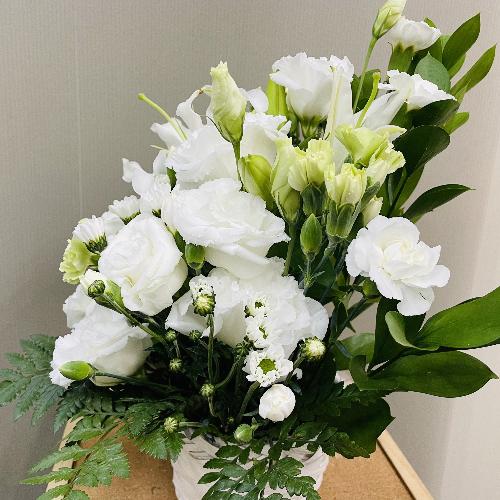 ǂȏ@hłvAオ肨AWg3