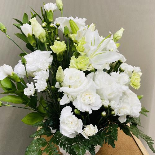 ǂȏ@hłvAオ肨AWg4