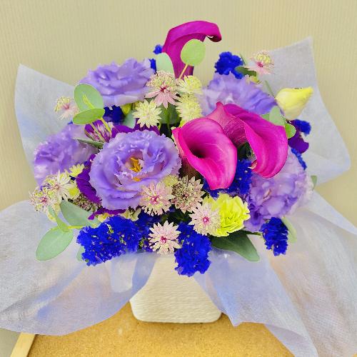 Dɂ͂܂܂Ip[voCIbgAWg