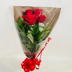 ԃo5{̉ԑAԌt́uȂɏoĖ{ɗǂv