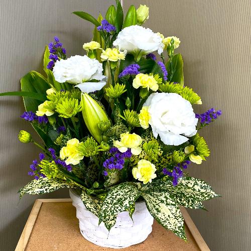 ���E���E���F�̌䋟�A�����W�����g