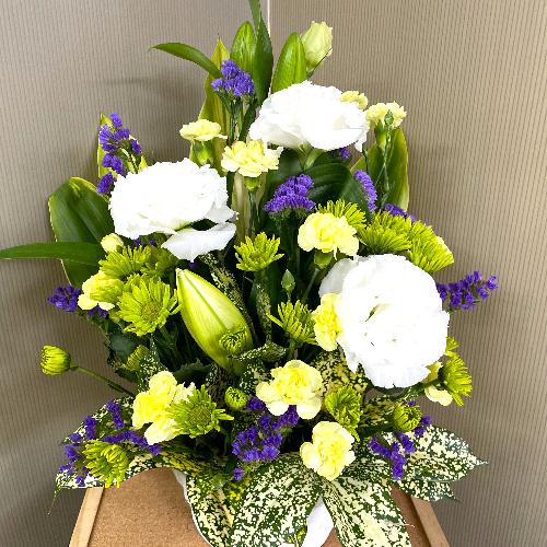 ���E���E���F�̌䋟�A�����W�����g2