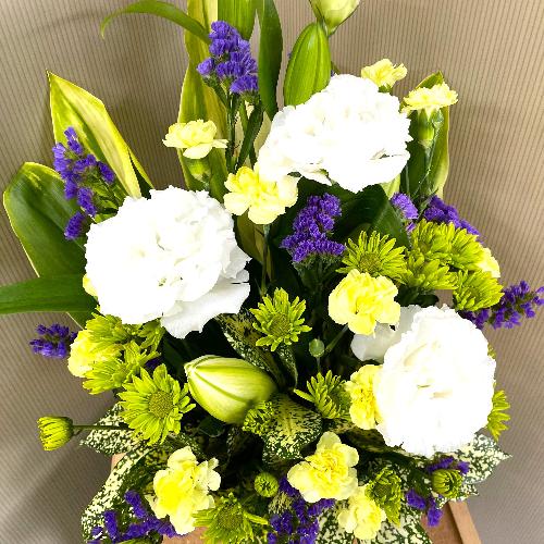 ���E���E���F�̌䋟�A�����W�����g3