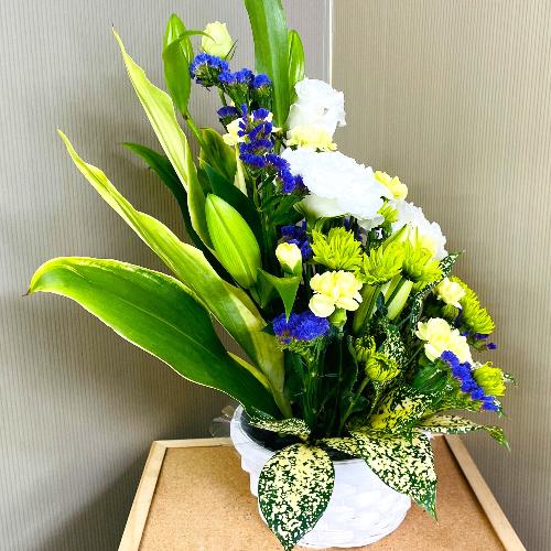 ���E���E���F�̌䋟�A�����W�����g4