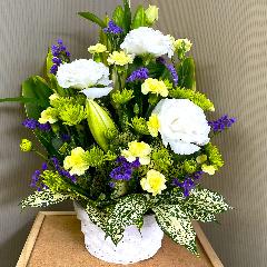 ���E���E���F�̌䋟�A�����W�����g