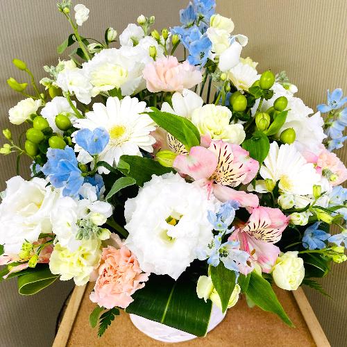 �p�X�e���J���[