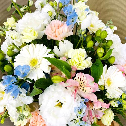 �p�X�e���J���[2