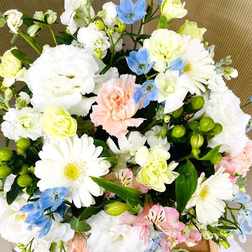 �p�X�e���J���[3