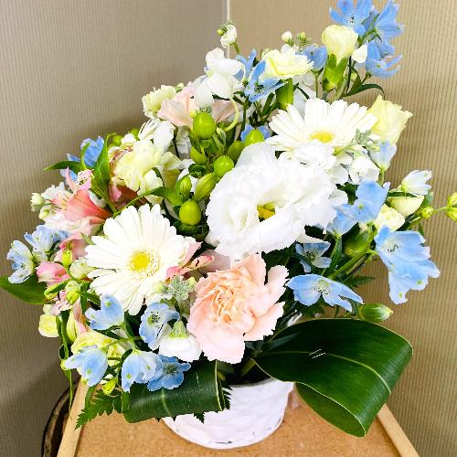 �p�X�e���J���[4