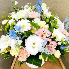 �p�X�e���J���[