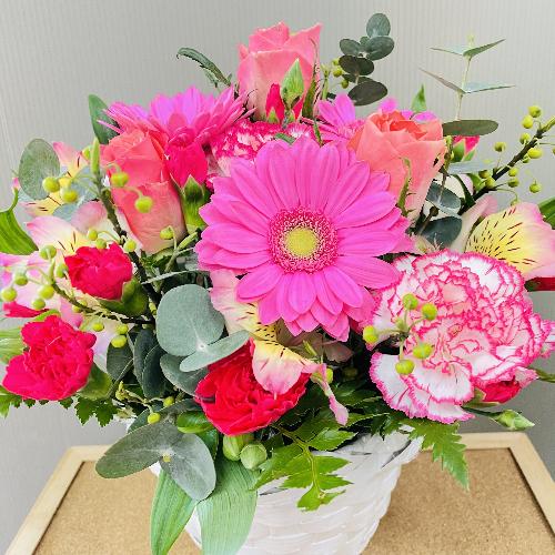 �o���ƃK�[�x���̃s���N�n�A�����W�����g2