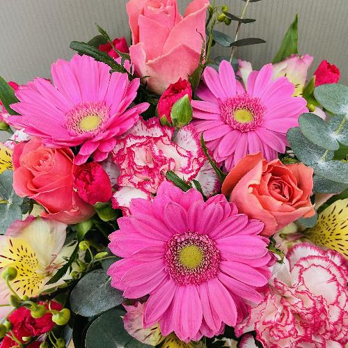 �o���ƃK�[�x���̃s���N�n�A�����W�����g3