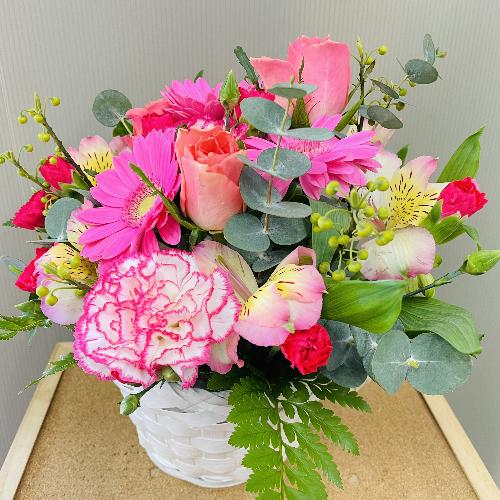 �o���ƃK�[�x���̃s���N�n�A�����W�����g4