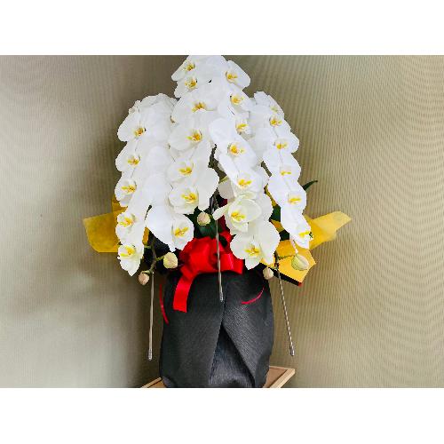 �Ӓ�����3�{����42�ֈȏ�i�ڂ݂��܂ށj��j���b�s���O3