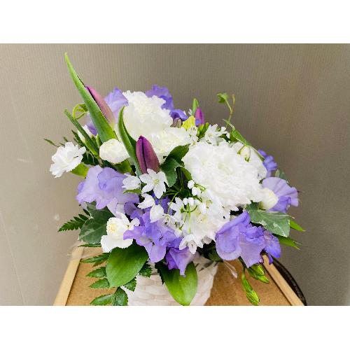 �z���C�g�E�p�[�v���n�̏�i�Ȍ䋟�A�����W�����g3