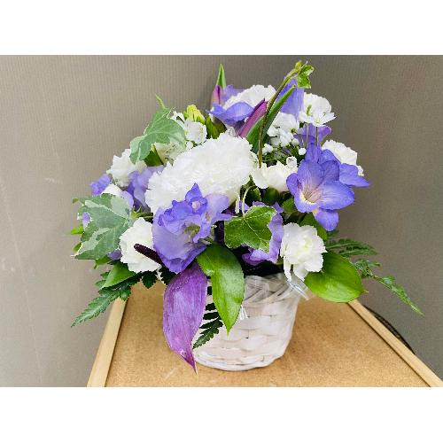 �z���C�g�E�p�[�v���n�̏�i�Ȍ䋟�A�����W�����g4