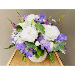 �z���C�g�E�p�[�v���n�̏�i�Ȍ䋟�A�����W�����g