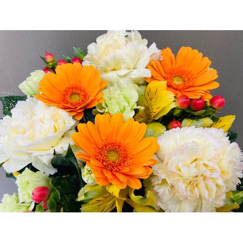 �C�G���[�I�����W�n�̑u�₩�ȃA�����W�����g3