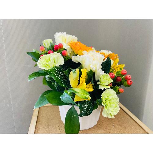 �C�G���[�I�����W�n�̑u�₩�ȃA�����W�����g4