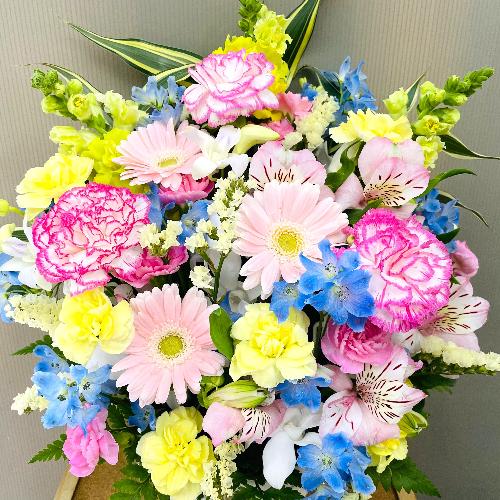 �J���t���ŉ؂₩�Ȍ䋟�A�����W�����g2