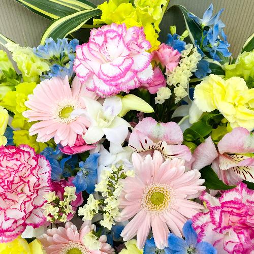 �J���t���ŉ؂₩�Ȍ䋟�A�����W�����g3