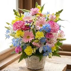 �J���t���ŉ؂₩�Ȍ䋟�A�����W�����g