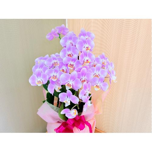 �~�j�Ӓ����s���N�n3�{��������2