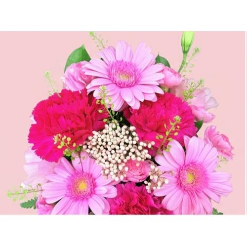 �s���N�n�R���p�N�g�ȉ����A�����W�����g�i������������܂��j2