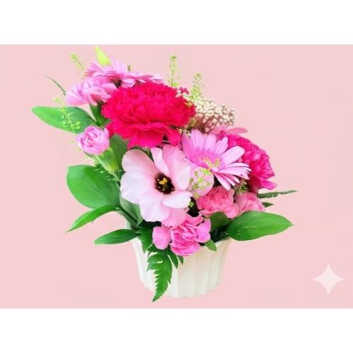 �s���N�n�R���p�N�g�ȉ����A�����W�����g�i������������܂��j4