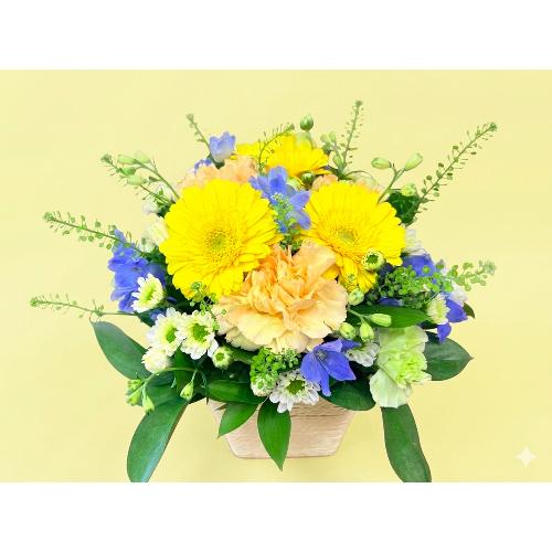 �C�G���[�I�����W�n�u�₩�ł��킢�����݂����Ȃ��؂₩�Ȍ䋟�A�����W�����g