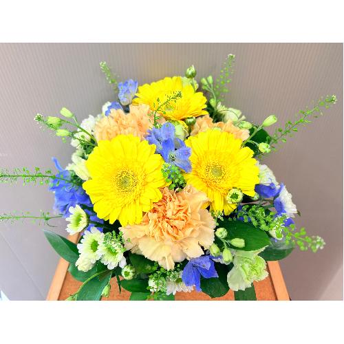 �C�G���[�I�����W�n�u�₩�ł��킢�����݂����Ȃ��؂₩�Ȍ䋟�A�����W�����g2