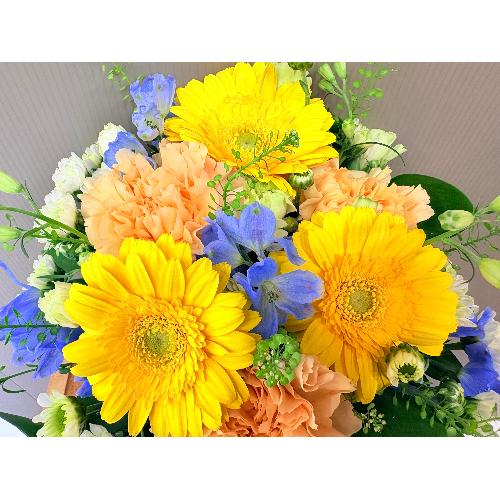 �C�G���[�I�����W�n�u�₩�ł��킢�����݂����Ȃ��؂₩�Ȍ䋟�A�����W�����g3