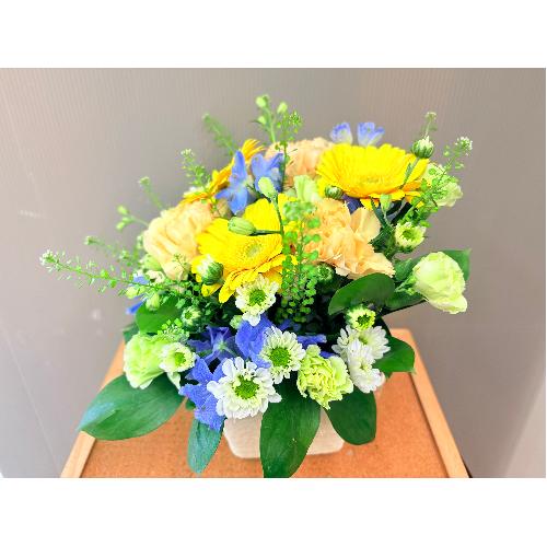 �C�G���[�I�����W�n�u�₩�ł��킢�����݂����Ȃ��؂₩�Ȍ䋟�A�����W�����g4