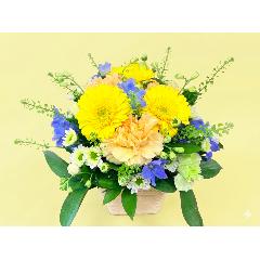 �C�G���[�I�����W�n�u�₩�ł��킢�����݂����Ȃ��؂₩�Ȍ䋟�A�����W�����g