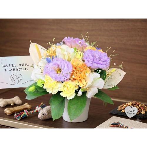 �p�X�e���J���[�̒W�����炩���D�������͋C�̊��ӂ̋C������͂������䋟�A�����W�����g3