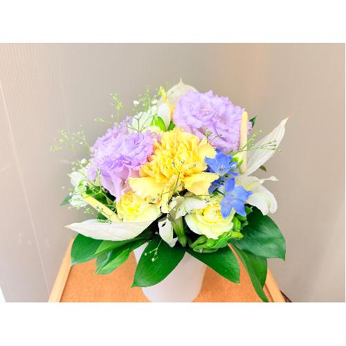 �p�X�e���J���[�̒W�����炩���D�������͋C�̊��ӂ̋C������͂������䋟�A�����W�����g5