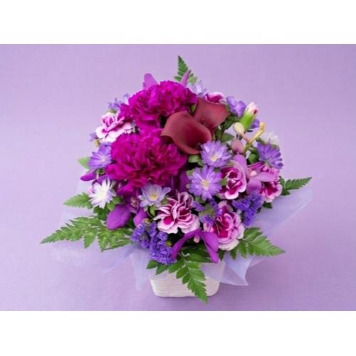 �����x���_�[�p�[�v���o�C�I���b�g�n�A�����W�����g