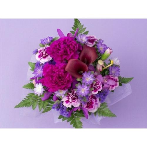 �����x���_�[�p�[�v���o�C�I���b�g�n�A�����W�����g2