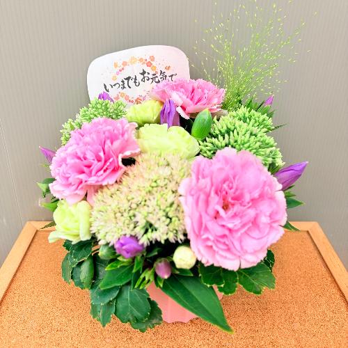 �h�V�̓��A�����W�����g�l�C�̃i�`�������s���N�@�R���p�N�g2